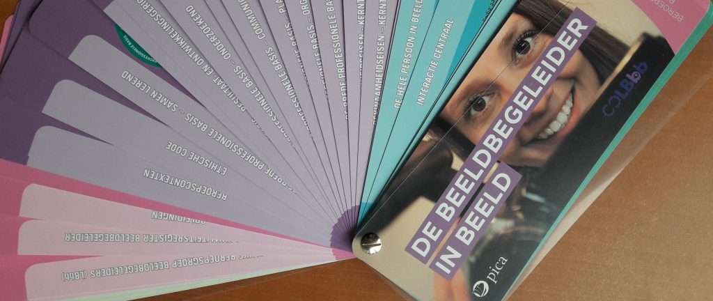 beroepsstandaard Beeldbegeleiding 2